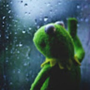 Meet your Posher, Lindsay